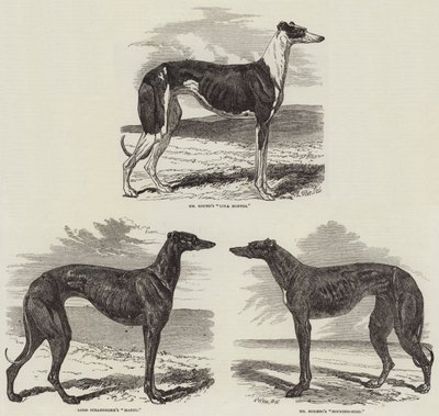 Reunión de carreras en Newmarket de Harrison William Weir